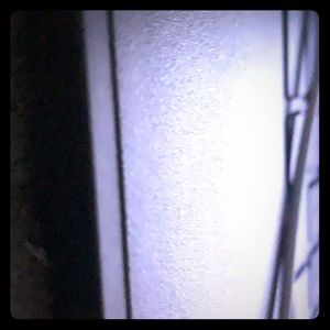 Meet your Posher, Tavon